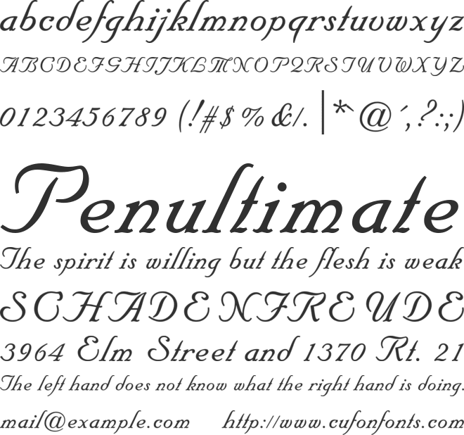 Floridian Script Std font preview