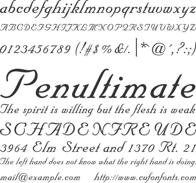 Floridian Script Std font preview