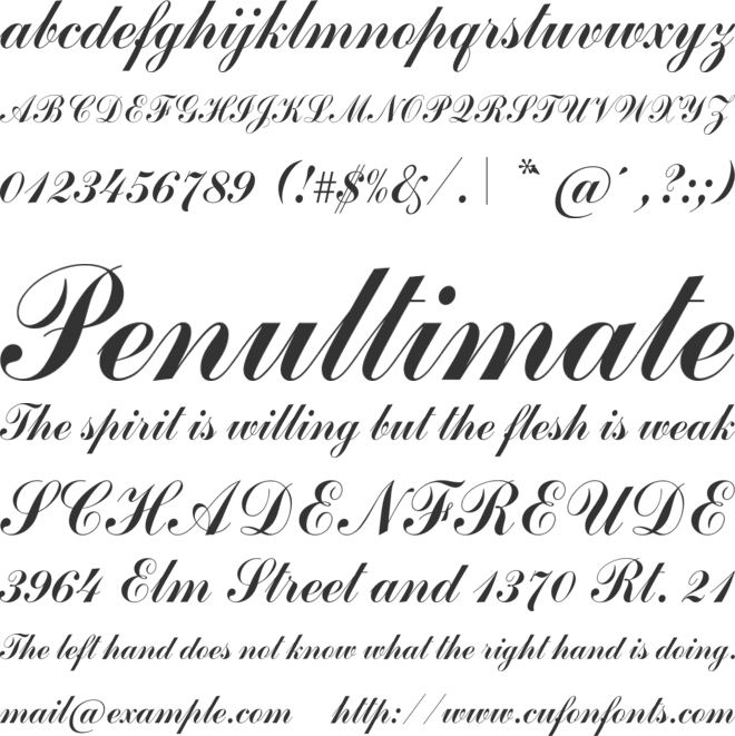 Commercial Script Com font preview