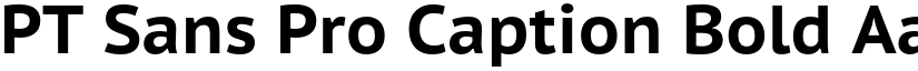 PT Sans Pro Caption Bold font