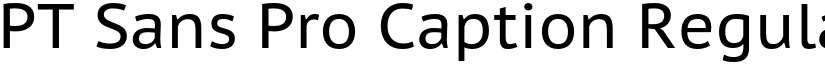 PT Sans Pro Caption Regular font
