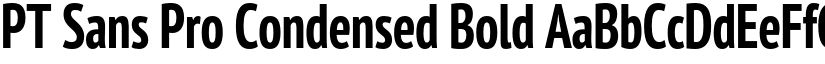 PT Sans Pro Condensed Bold font