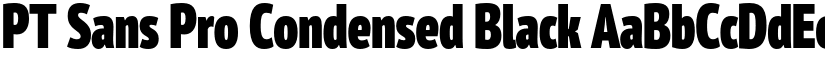 PT Sans Pro Condensed Black font