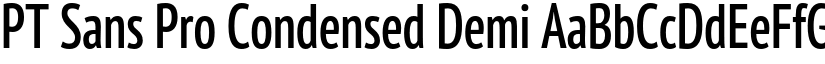PT Sans Pro Condensed Demi font
