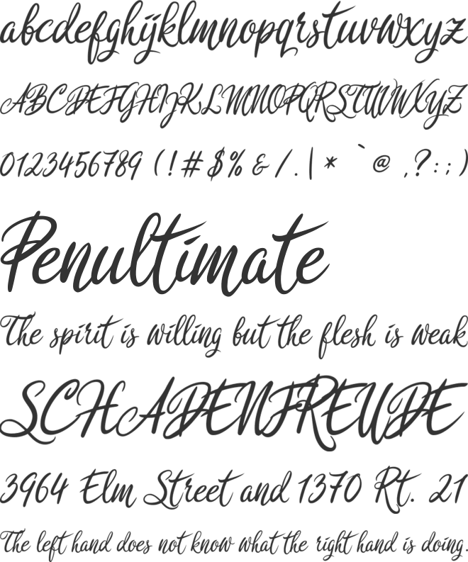 Rosedita font preview