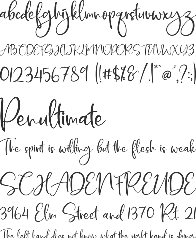DeerUp Shouttap Script font preview