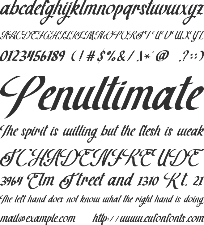 The Brown Wall font preview