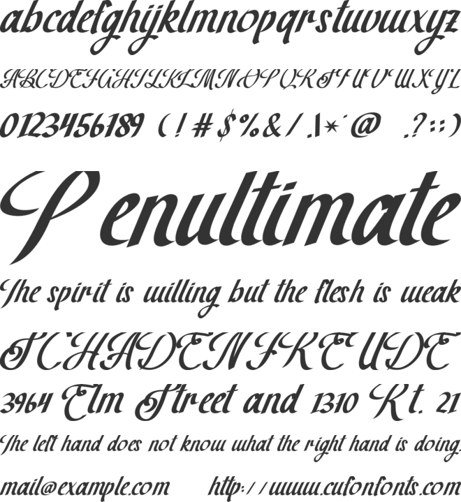 The Brown Wall font preview