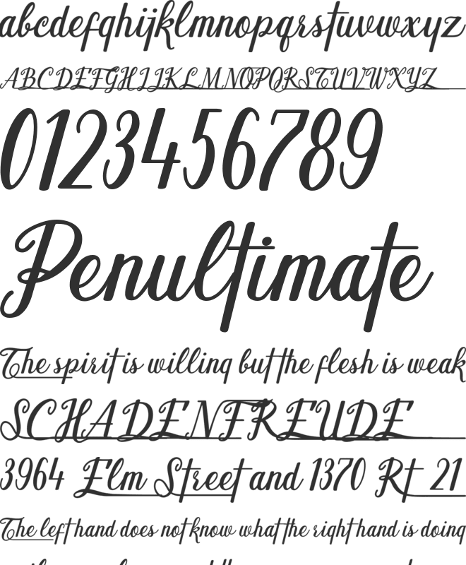 Shark Ready font preview