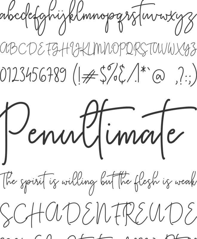 Kasting Script font preview