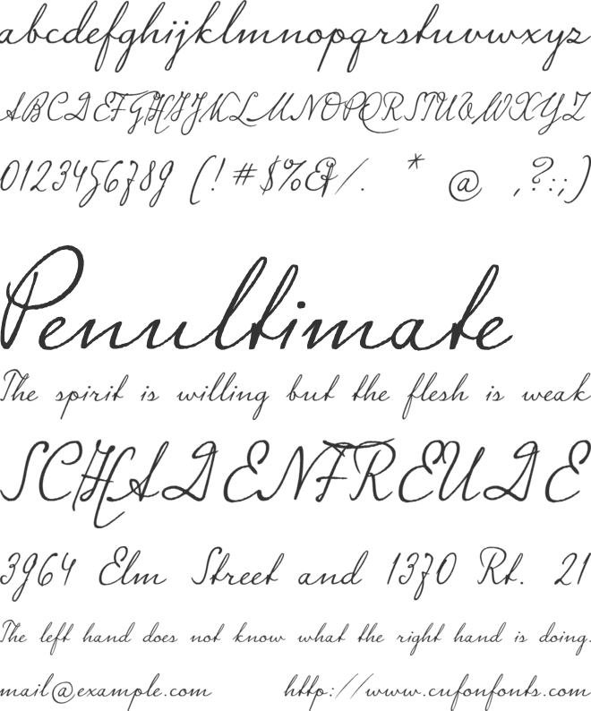 Signato font preview