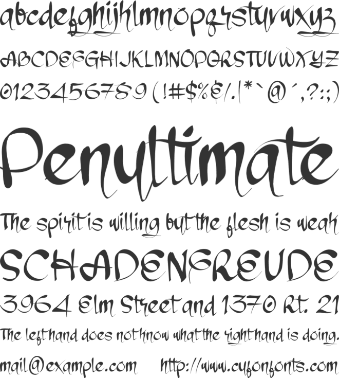 Chronic System font preview