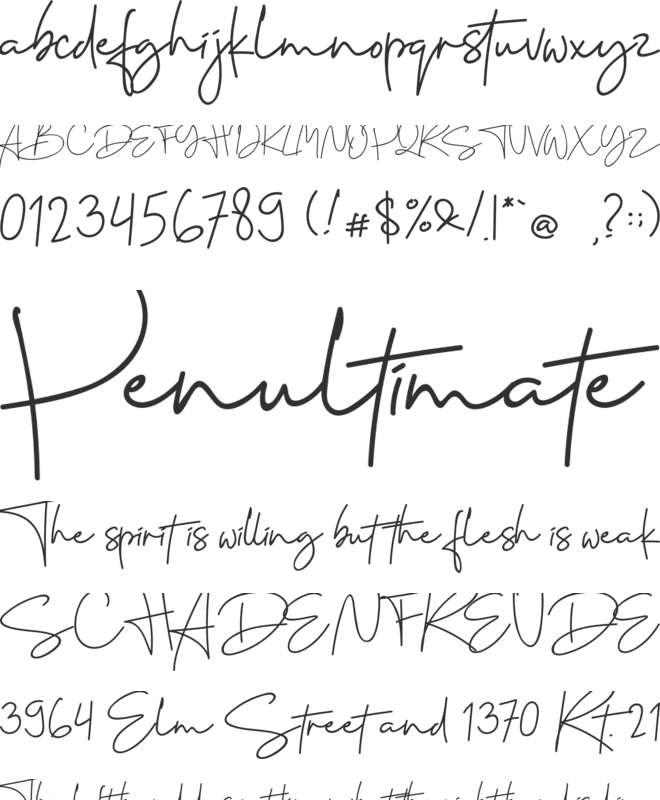 Cervanttis font preview