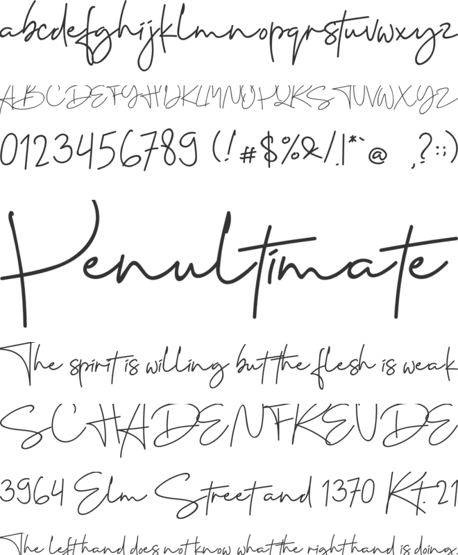 Cervanttis font preview