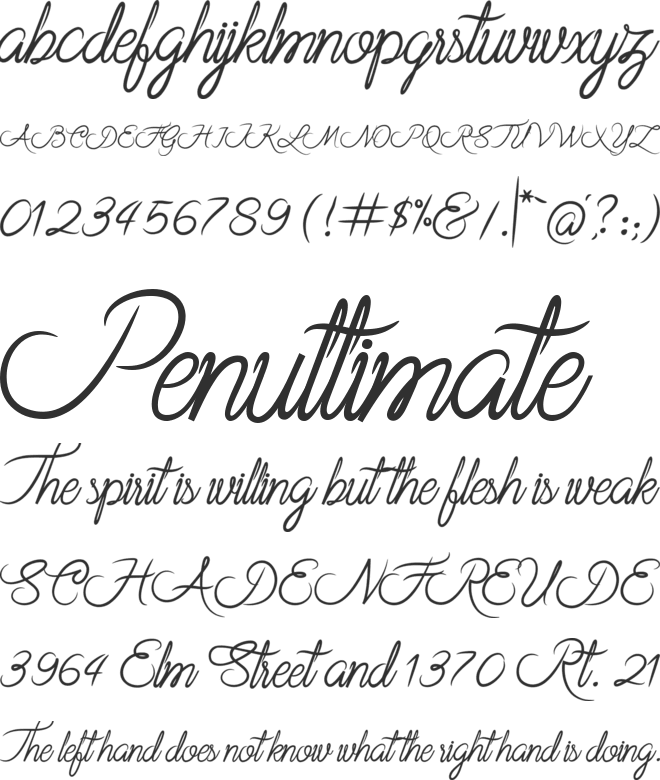 Rothenburg Script font preview