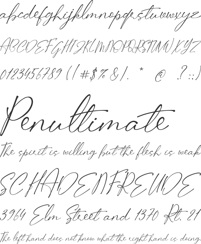 Stifora font preview