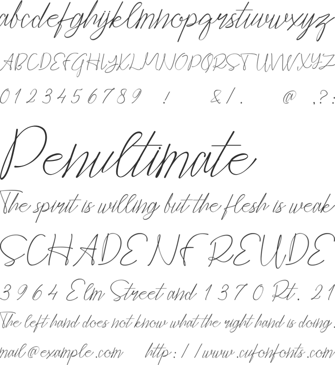 Cepttoni calligraphy font preview