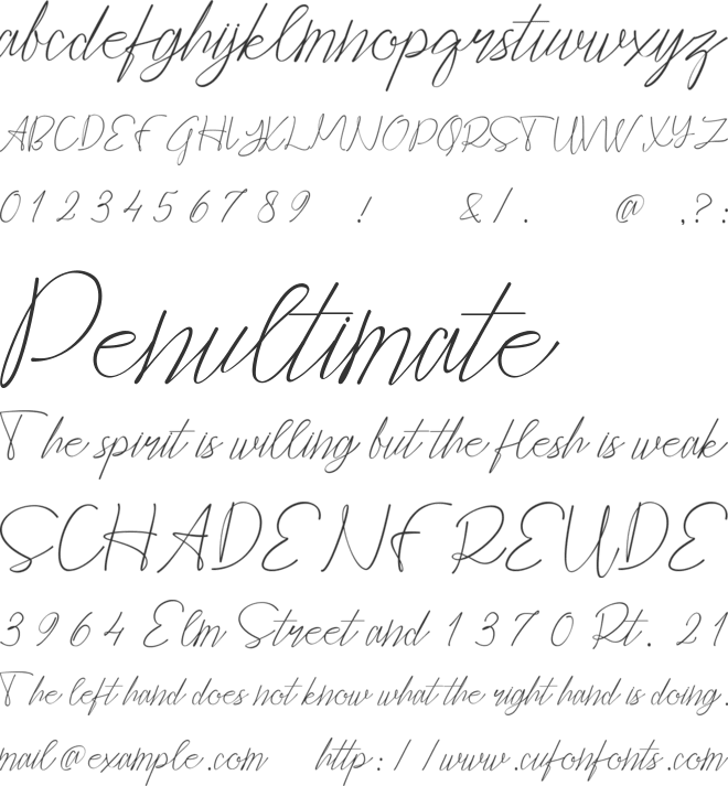 Cepttoni calligraphy font preview