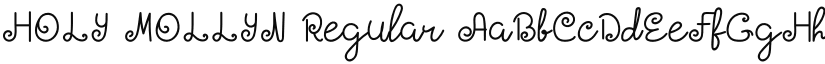 HOLY MOLLYN font download