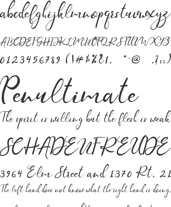 William font preview