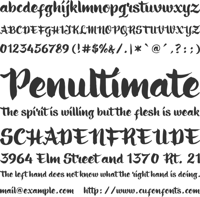 Ringotube font preview