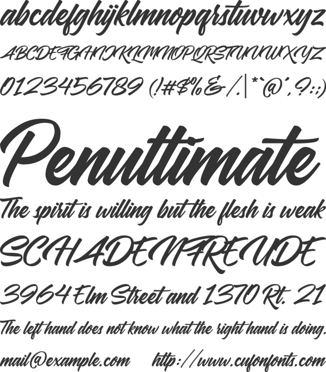 Samble Tracie font preview