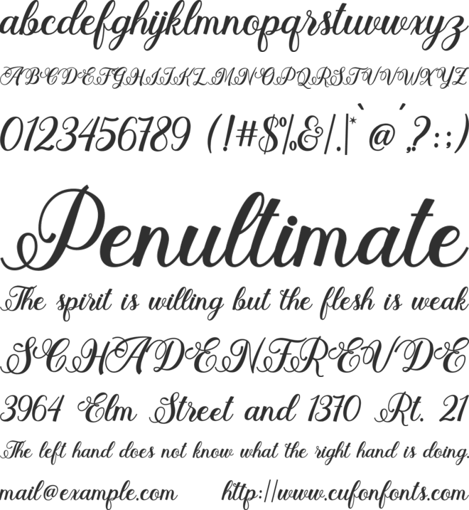 Stayola font preview