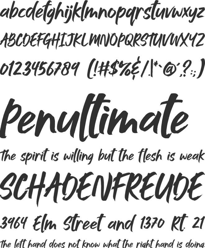 Jushley Shine font preview