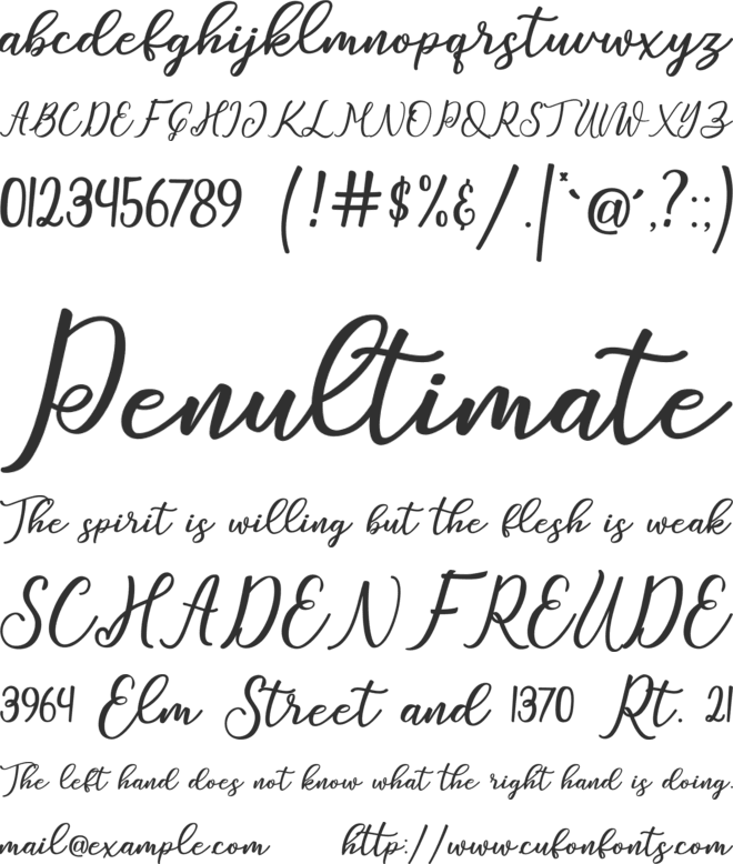 Window font preview