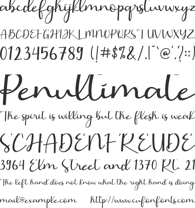 Barbara Calligraphy font preview