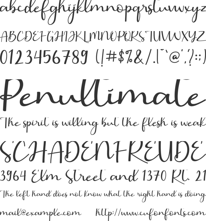 Barbara Calligraphy font preview