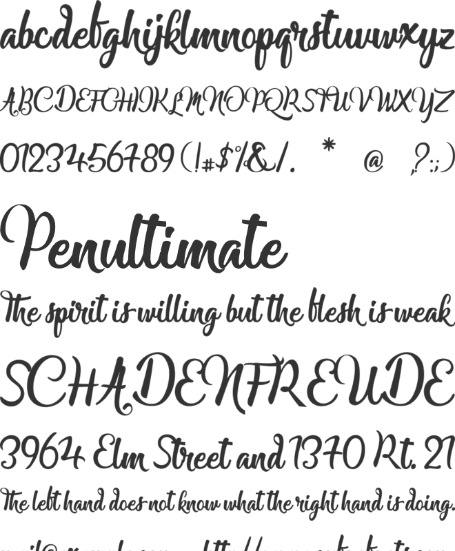 Lady Finger font preview