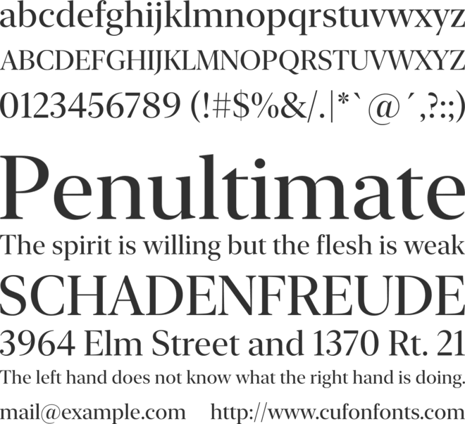 New York Extra Large font preview