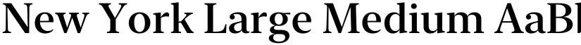 New York Large Medium font