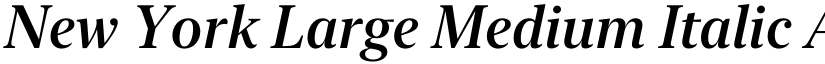 New York Large Medium Italic font