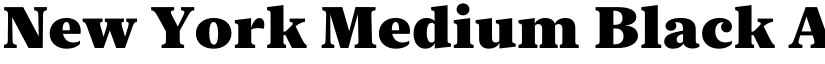 New York Medium Black font
