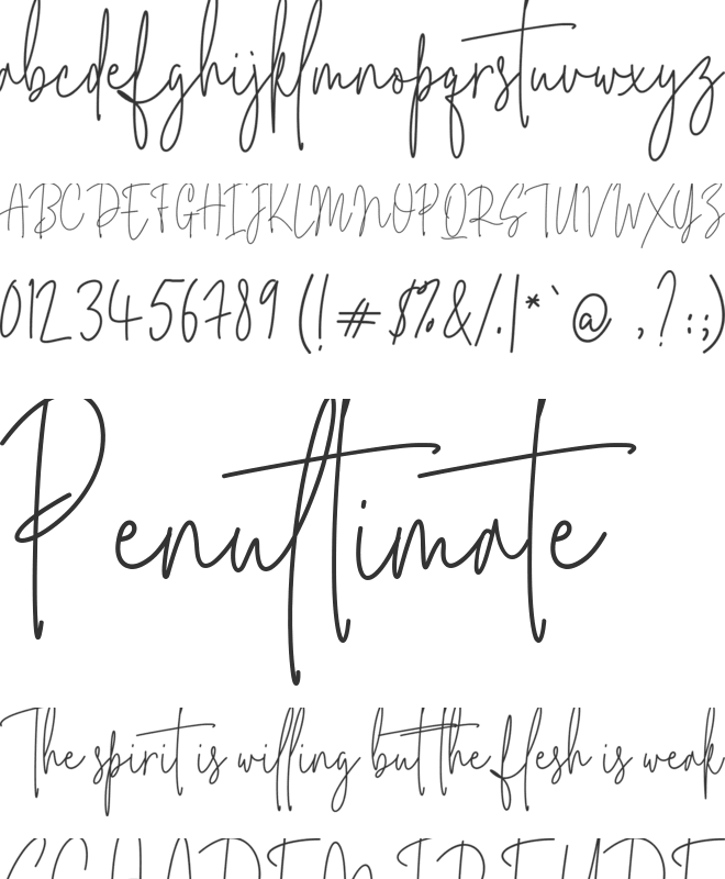 Monttrela font preview