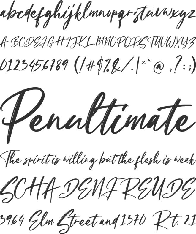 Masticusy font preview