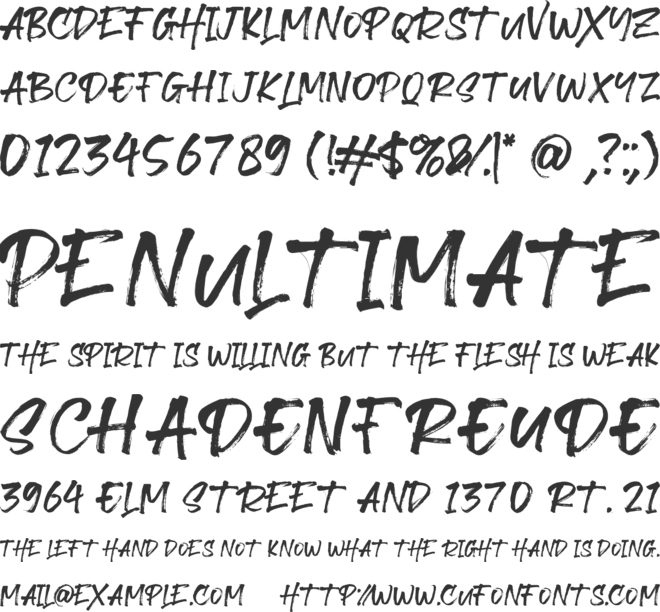 Revnosa font preview