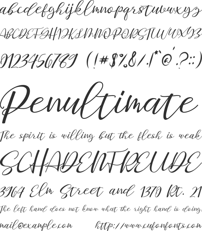 Staples Calligraphy font preview