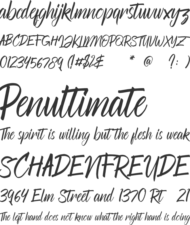 Returned font preview