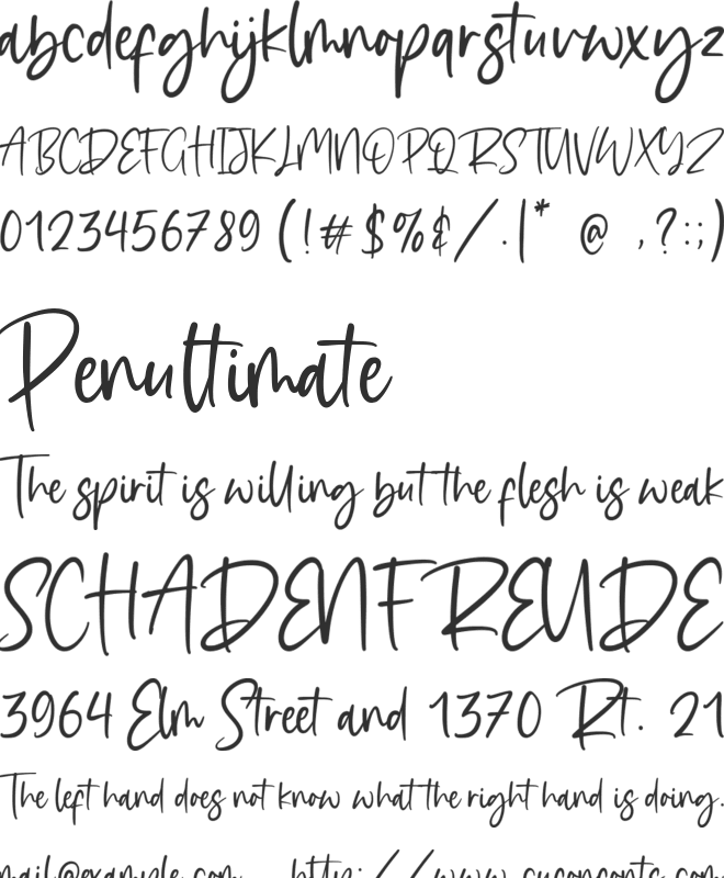 Delighty font preview