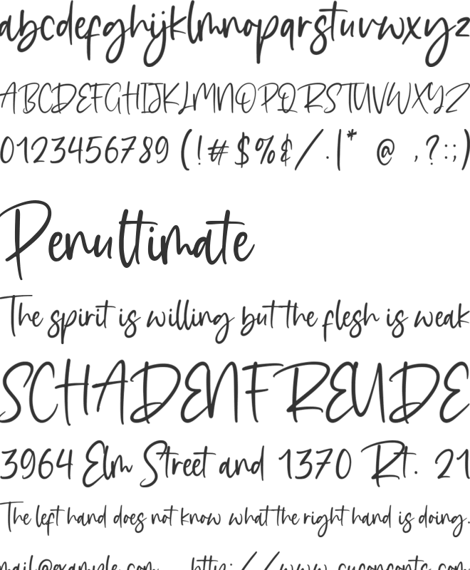 Delighty font preview