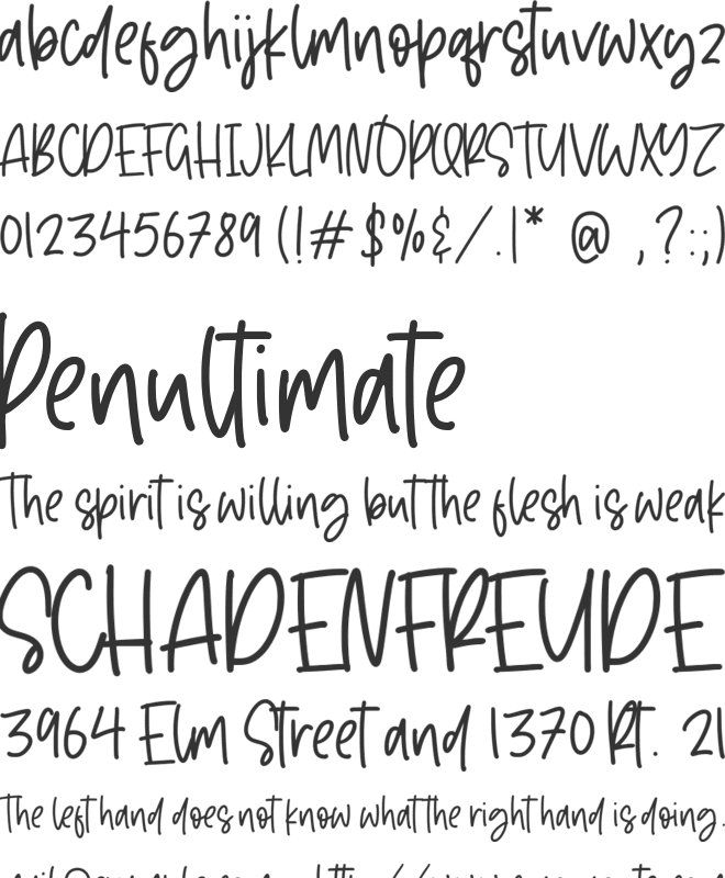 Camelleon font preview