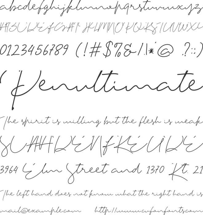 Tiffany Script font preview
