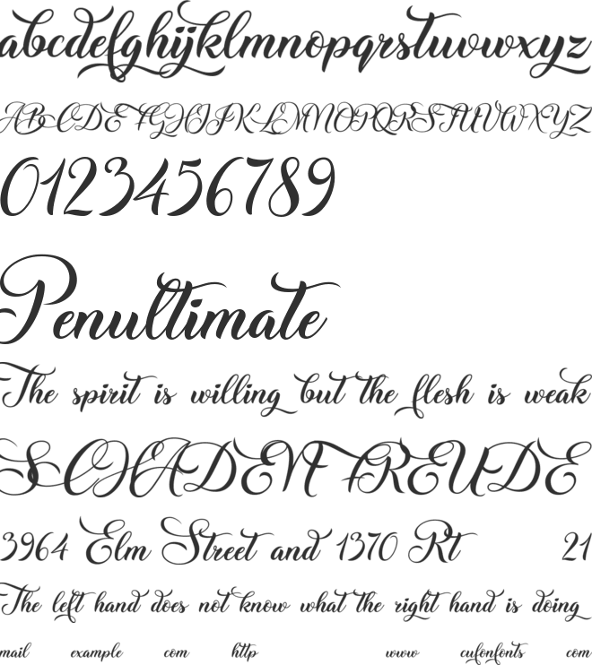 Christmas Wish Calligraphy font preview