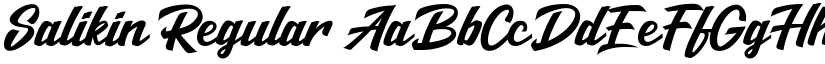 Salikin Regular font