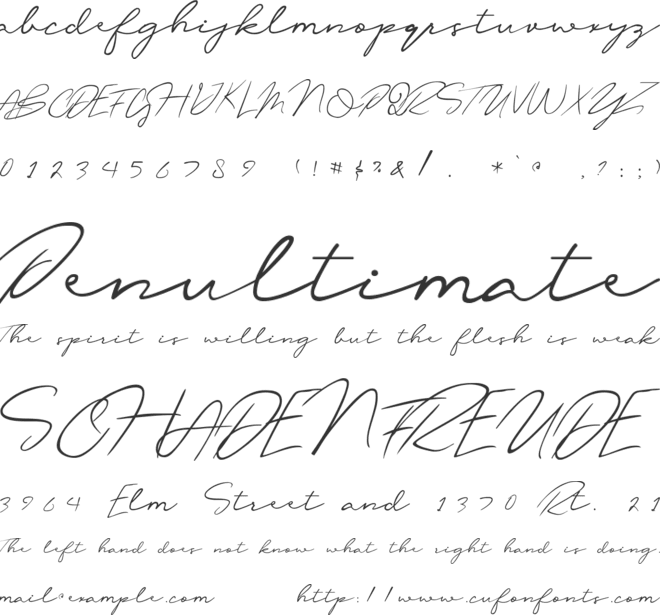 oliver quin font preview