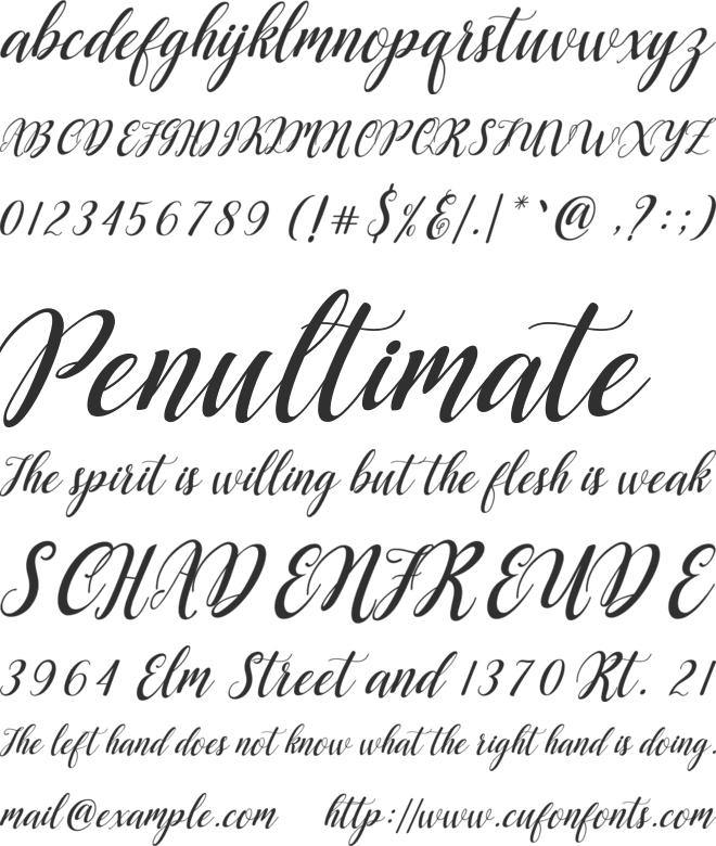 Angellie Script font preview