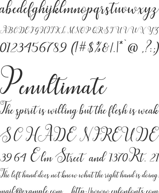 Hillah Script font preview